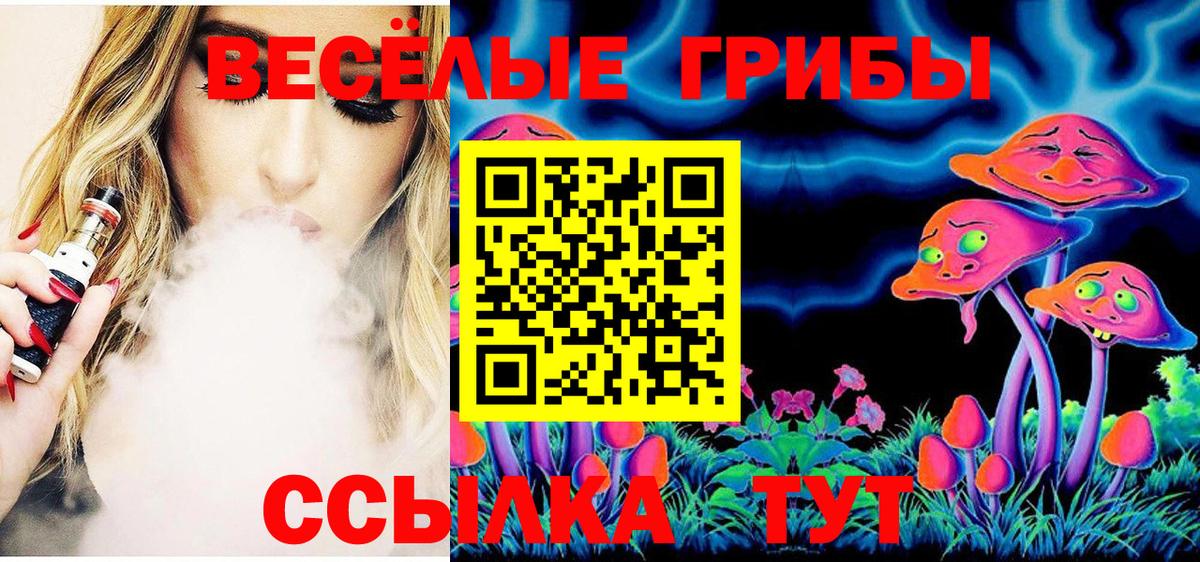 Галлюциногенные грибы GOLDEN TEACHER  Псилоцибиновые грибы прущие грибы  Саяногорск  Вход с VPN 